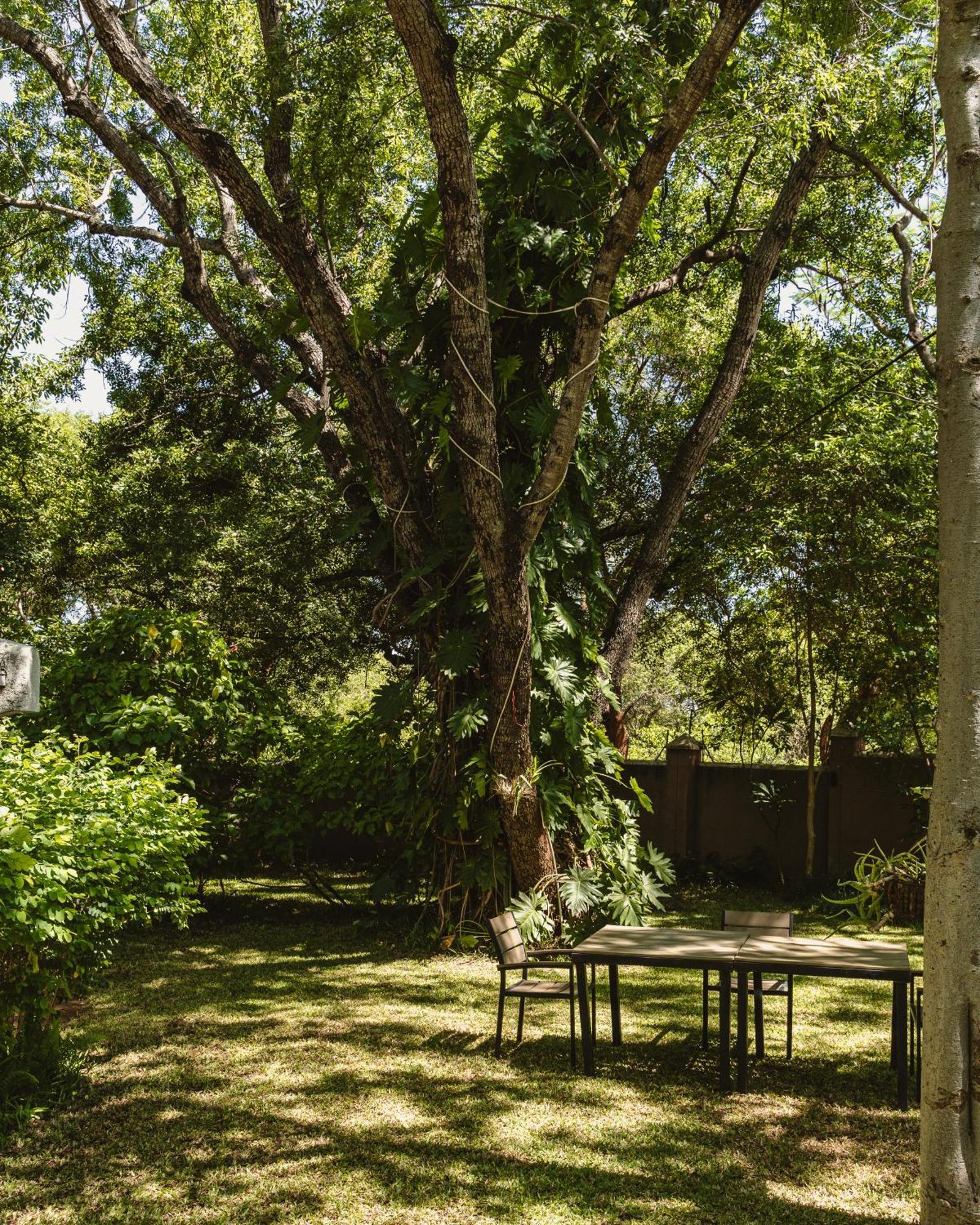 Jacaranda Lodge Victoria Falls Luaran gambar